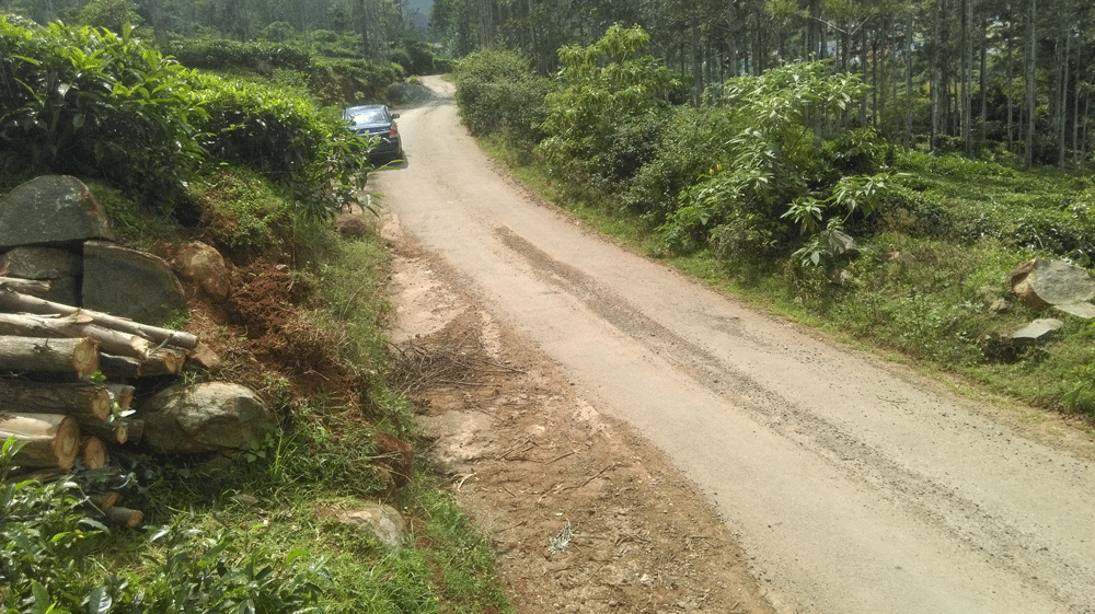 10 Agricultural, land for sale in Kotagiri